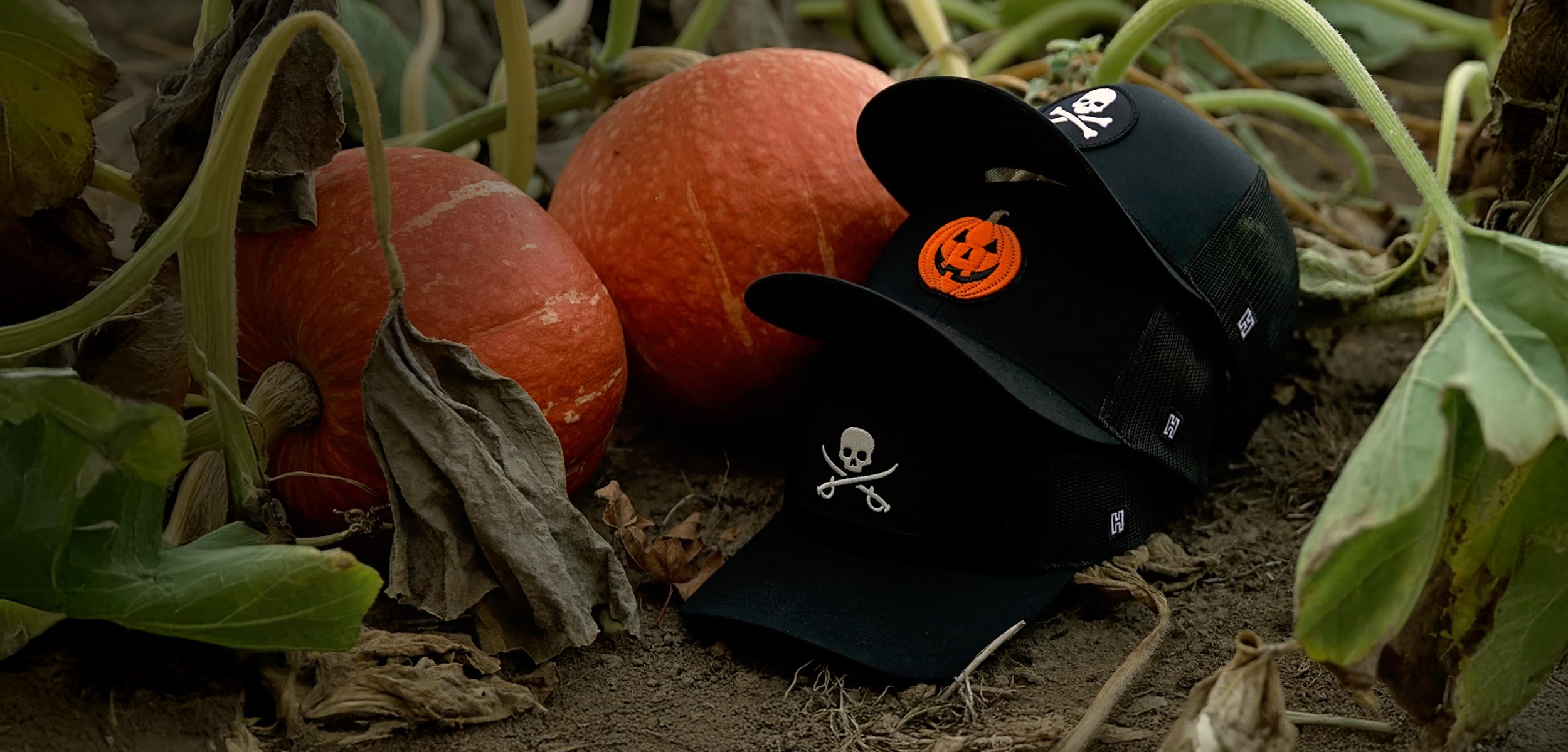 Pirate Flag, Jack-O-Lantern, and Skull and Cross Bones stacked in a pumpkin field.