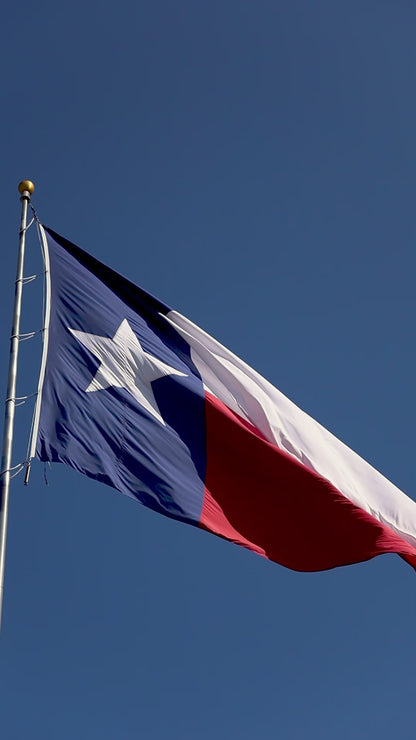 Texas Flag Trucker Hat  |  Black TX Snapback